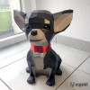 chihuahua chihuahua